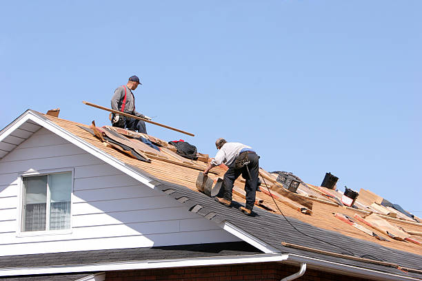 Best 4 Ply Roofing  in Oak Forest, IL